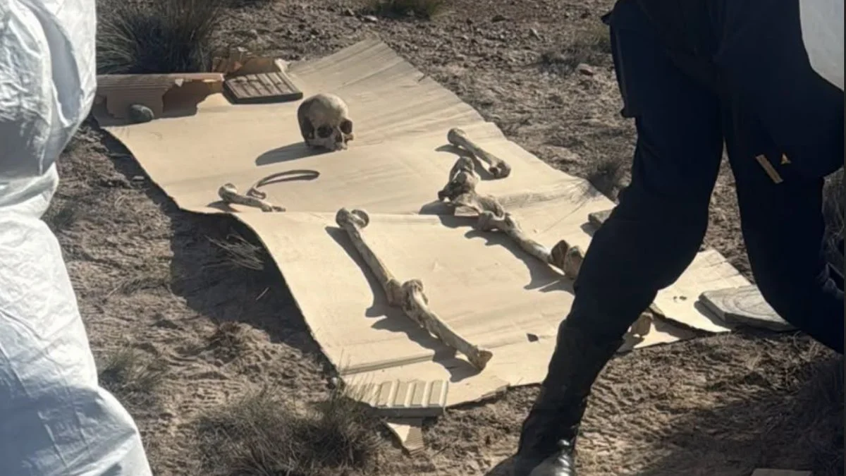 Descubren 125 restos óseos antiguos cerca de la Doble Trocha en Chubut