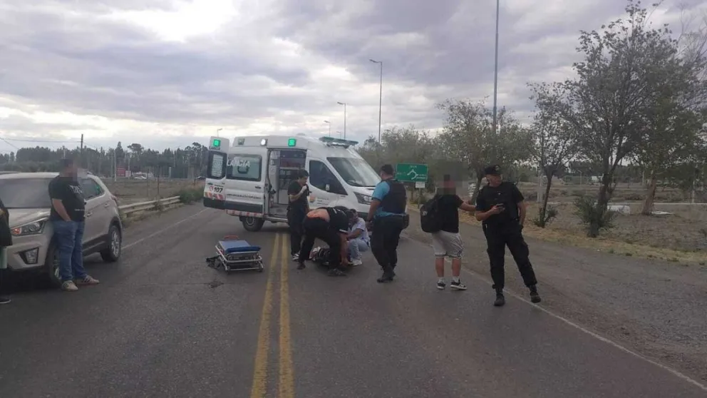 Detuvieron a dos hombres por transportar ovinos maniatados y un galgo en el baúl