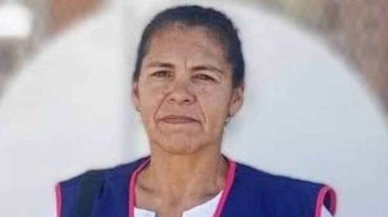 Una mujer de cabello oscuro recogido mira a la cámara con un chaleco azul de vivos rosados frente a una pared blanca.