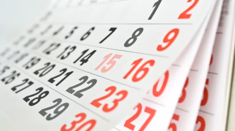 Por qué el lunes 15 es feriado y qué se conmemora