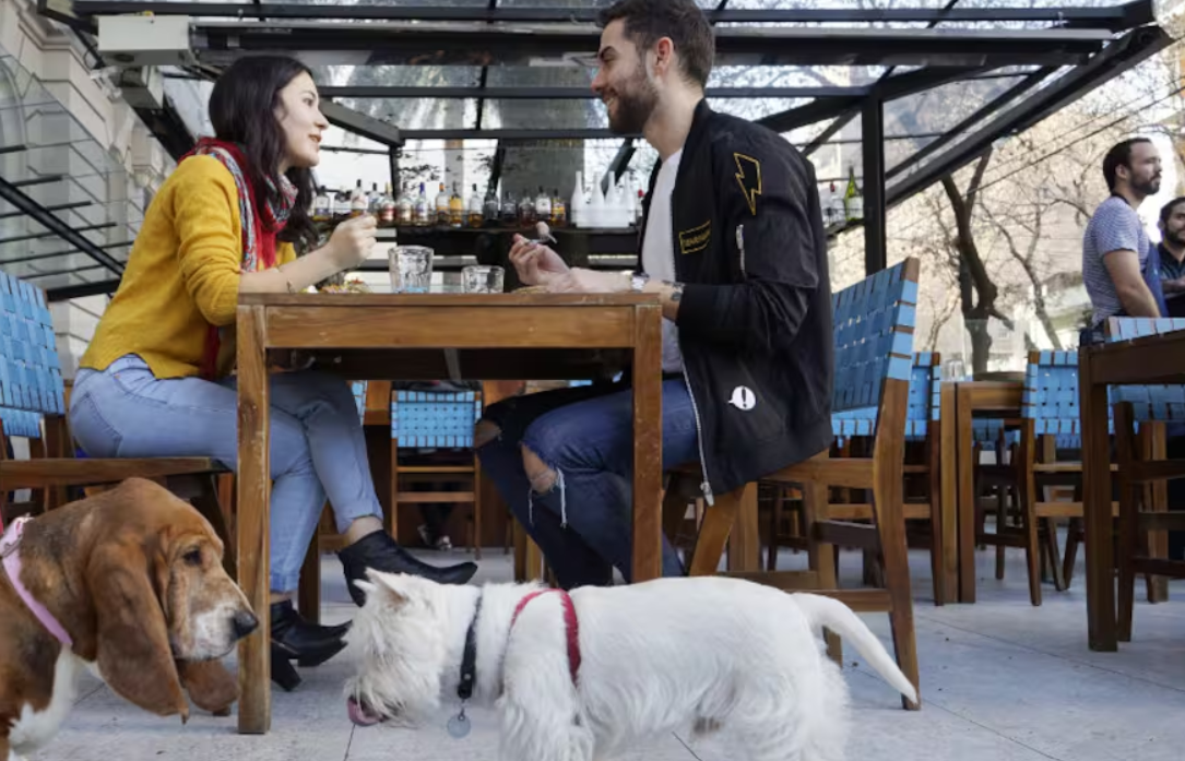 Madryn avanza con espacios pet friendly en comercios y locales gastronómicos