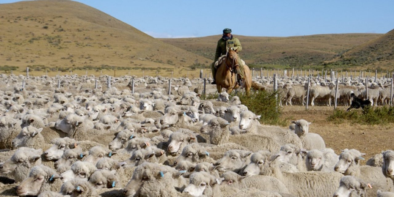 Productores agropecuarios de Chubut exigen soluciones inmediatas al gobierno provincial