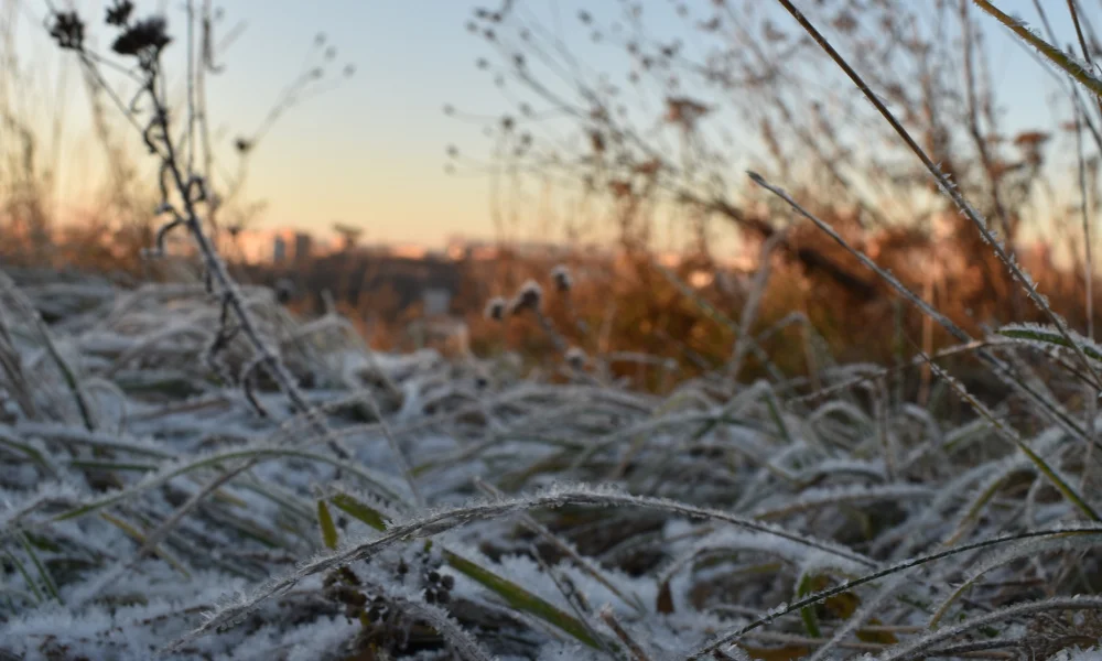 Clima extremo en Chubut: nevadas, vientos fuertes y temperaturas bajo cero
