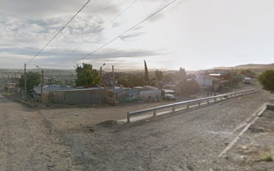 Perro gravemente herido tras ataque de dogos en Comodoro pide ayuda comunitaria