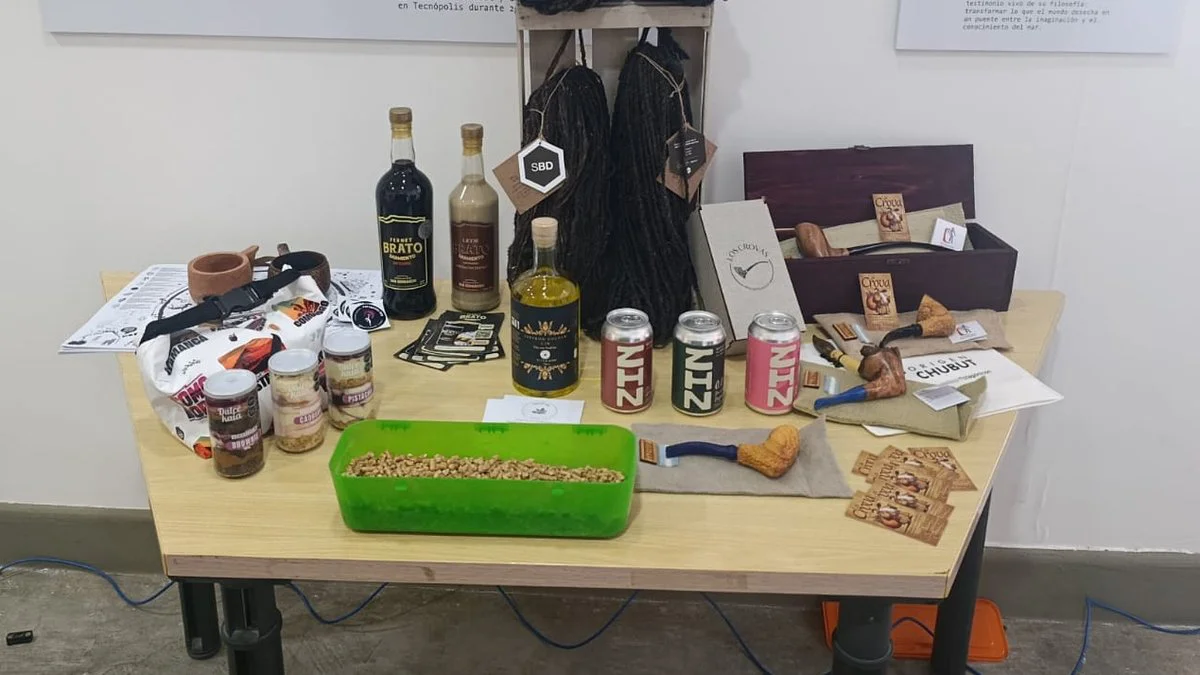 Cuatro emprendimientos chubutenses van a la final nacional del Concurso Emprendimiento Argentino