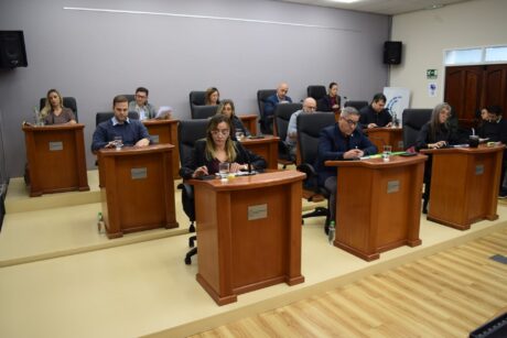 El Concejo Deliberante respaldó el reclamo de docentes autoconvocados