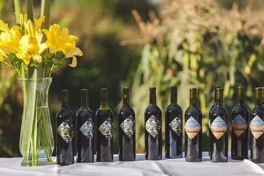 Puerto Madryn albergará el 2º Encuentro de Productores Vitivinícolas de Chubut