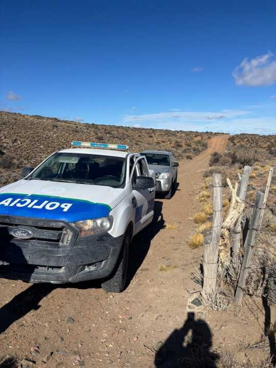 Operativo en la meseta: recuperan tierras usurpadas y animales