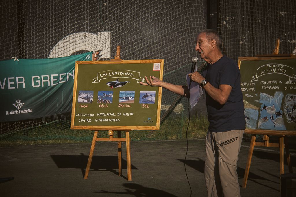 Puerto Madryn realizó una jornada deportiva y ambiental junto al Real Betis