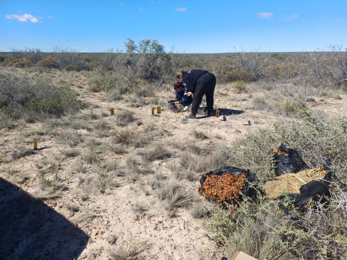 Misterio en Madryn: Investigan la muerte de un hombre con un disparo