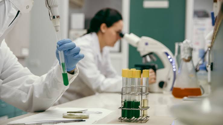 Oportunidad para futuros doctores: charlas sobre becas cofinanciadas con el Conicet
