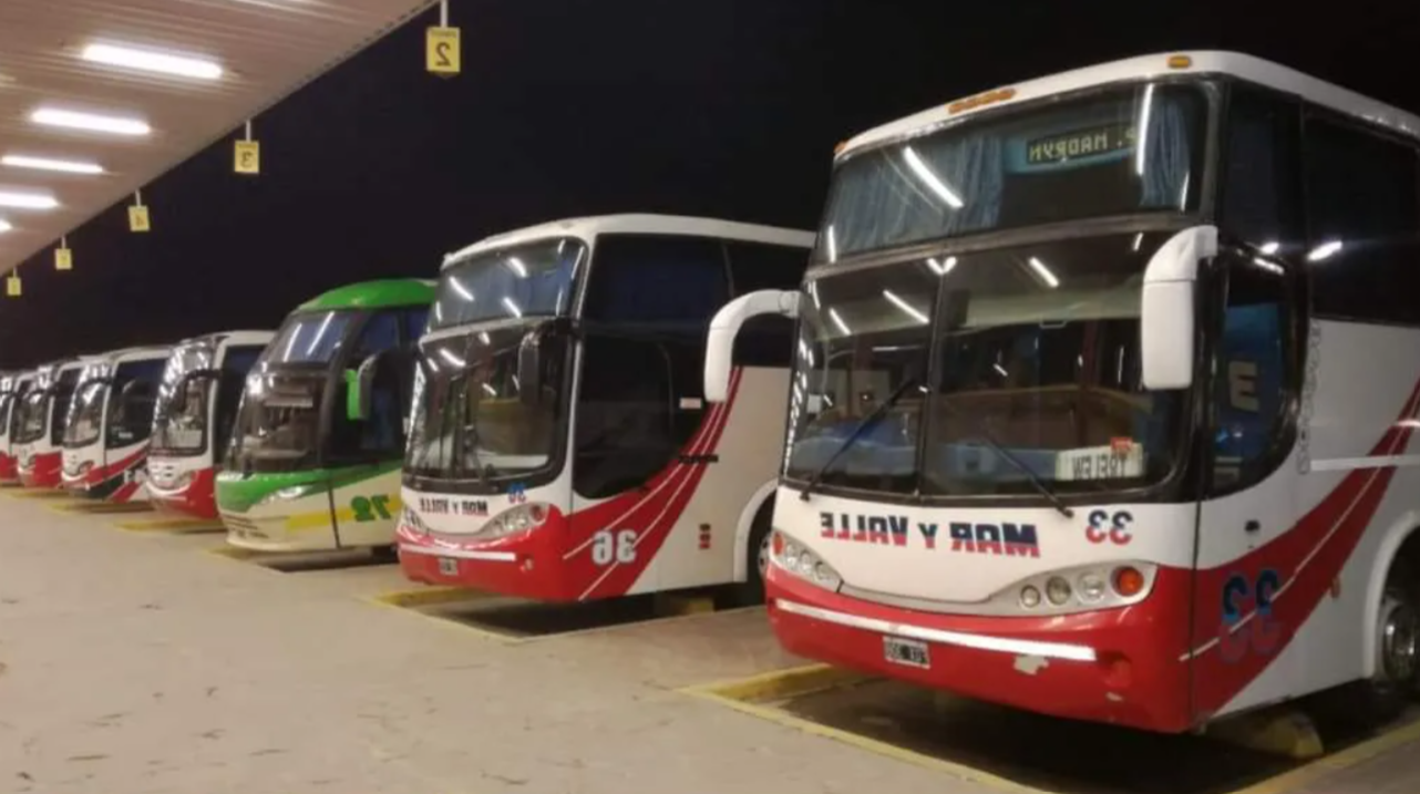 Colectivos funcionarán con normalidad pese al paro anunciado