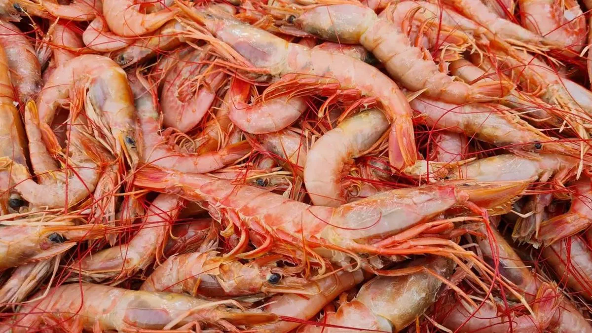 Chubut promociona su industria pesquera en la feria Conxemar 2026 en España
