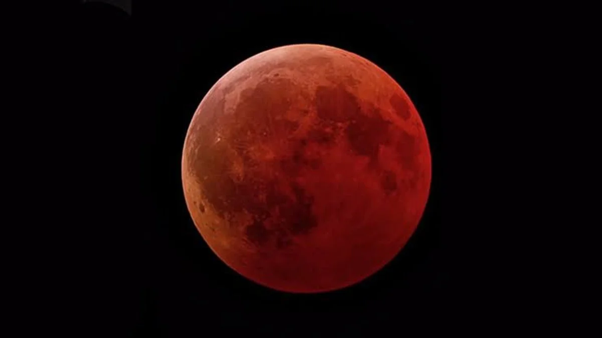 Puerto Madryn observará el último eclipse lunar del año