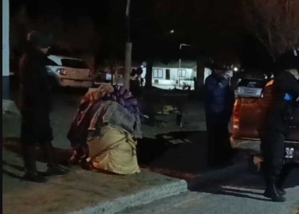 Secuestraran 700 kilos de carne de guanaco en un control en la Ruta 40
