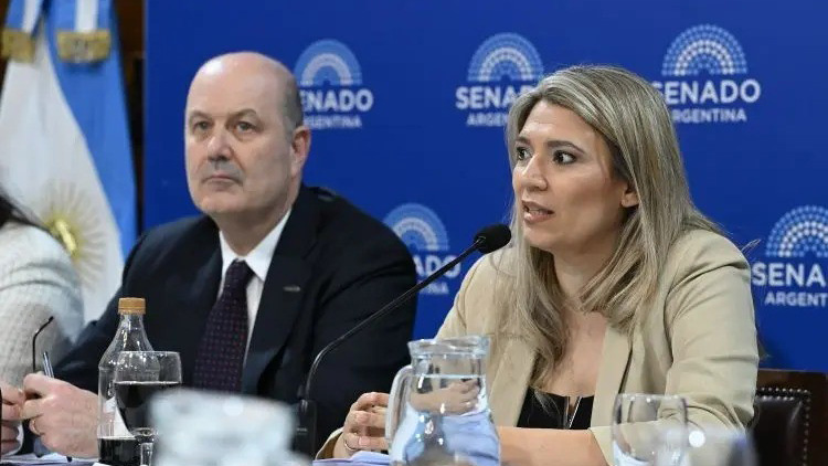 El Senado continuará el debate sobre la Ley de Sociedades