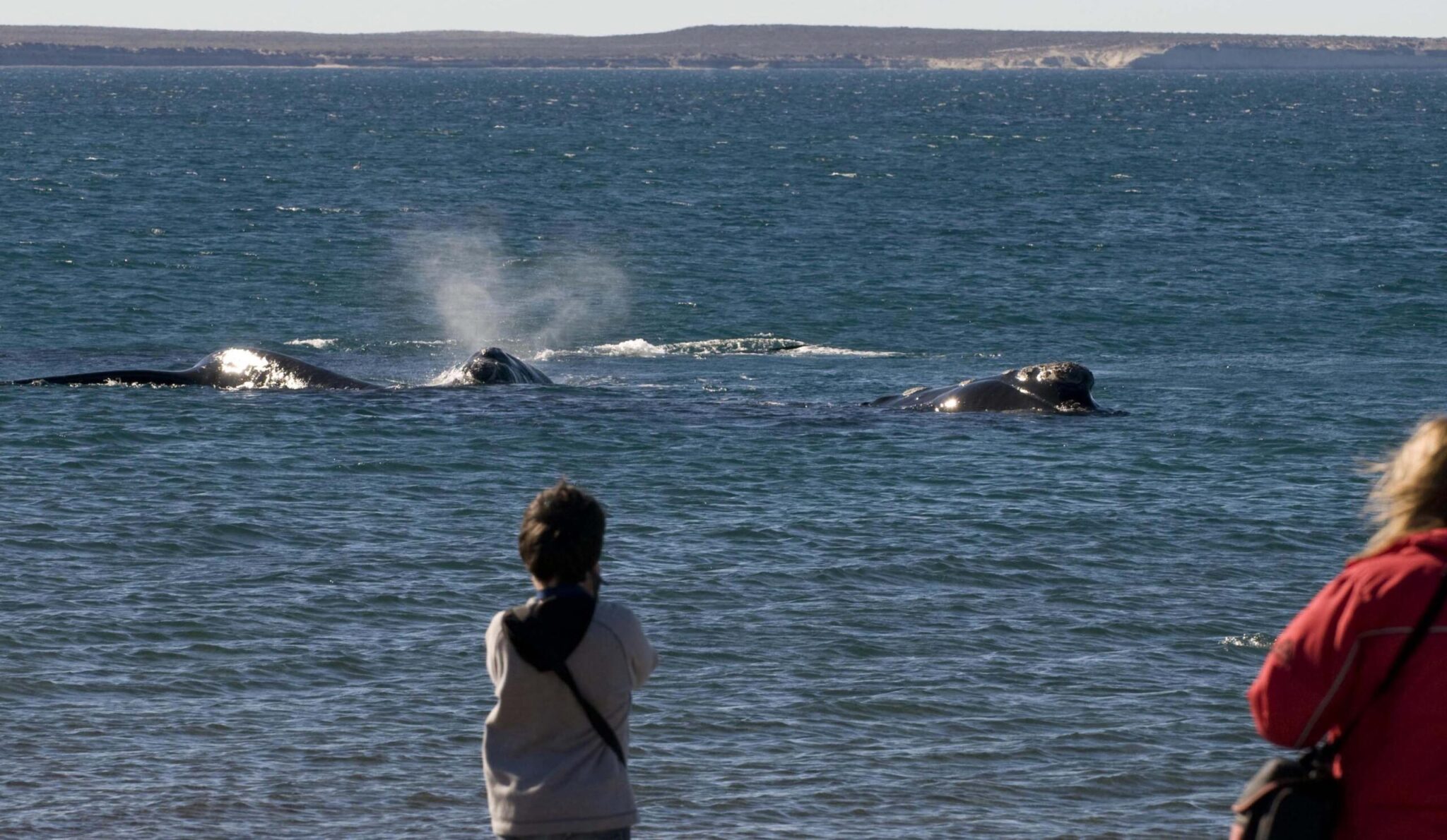 Puerto Madryn espera el mayor movimiento del invierno con más del 50% de ocupación y vuelos casi completos