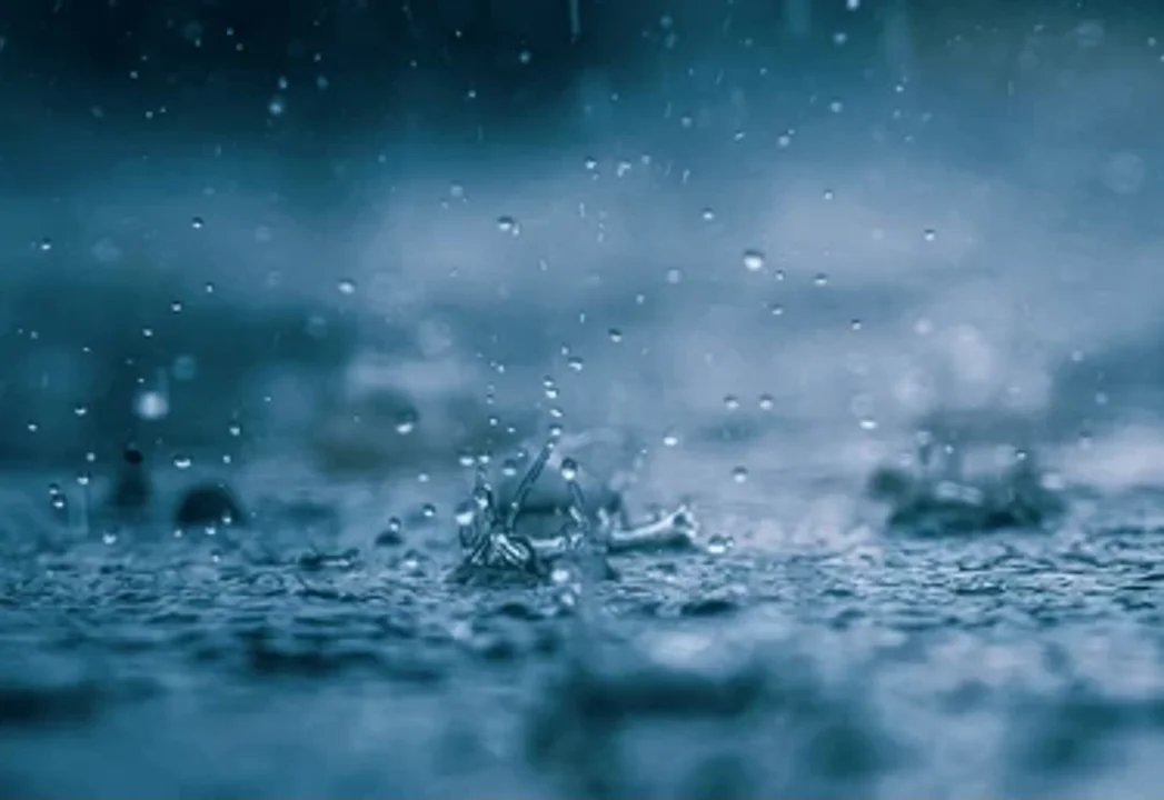 Activan el Comité de Emergencia en Madryn ante pronóstico de lluvias y El Niño